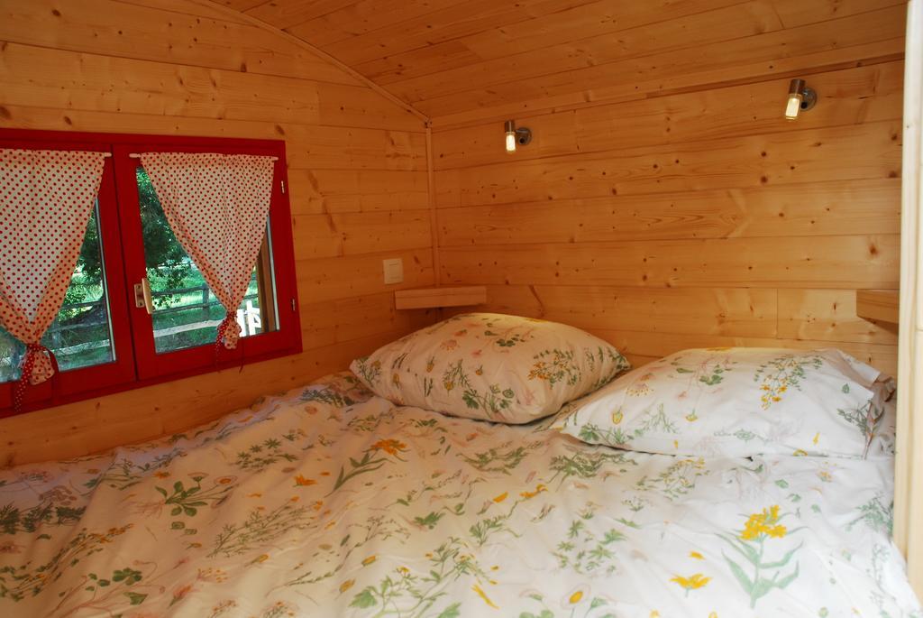 Gypsy Nature B&B Jumelles  Camera foto