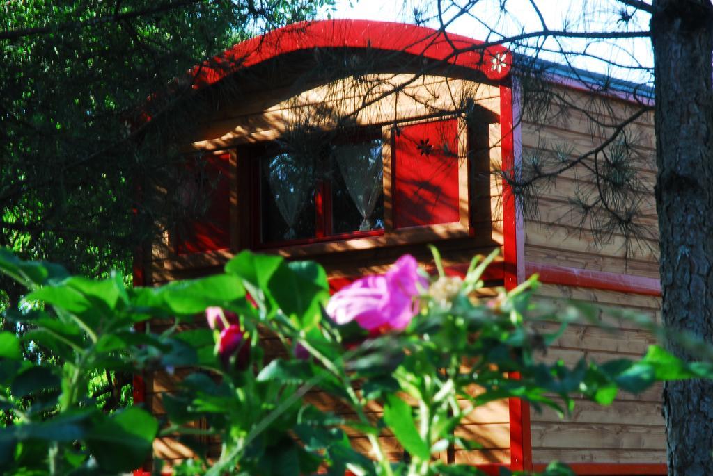 Gypsy Nature B&B Jumelles  Camera foto